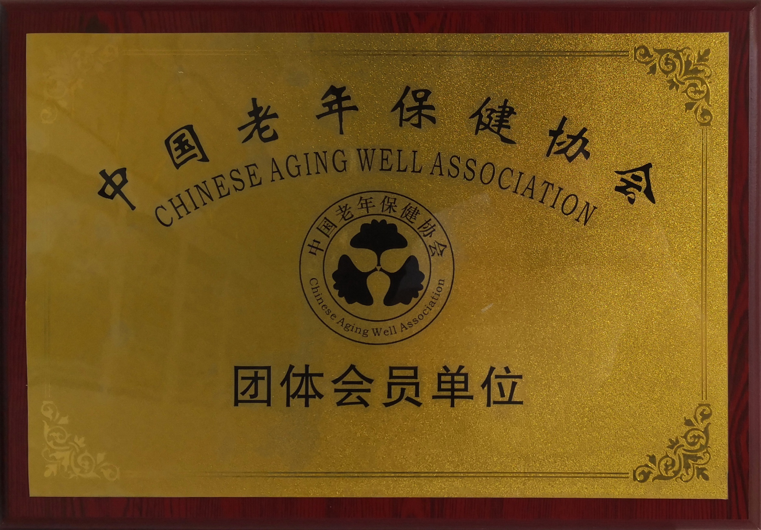乐竞官网登录