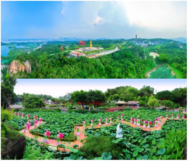 乐竞官网登录