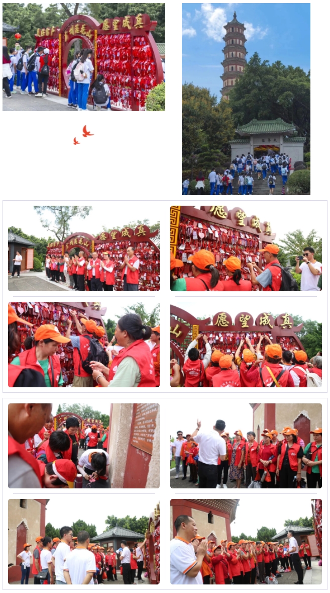 乐竞官网登录