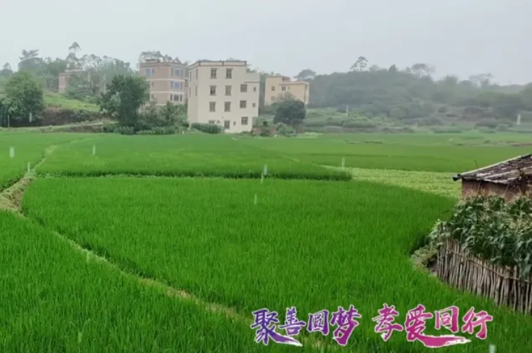 乐竞官网登录